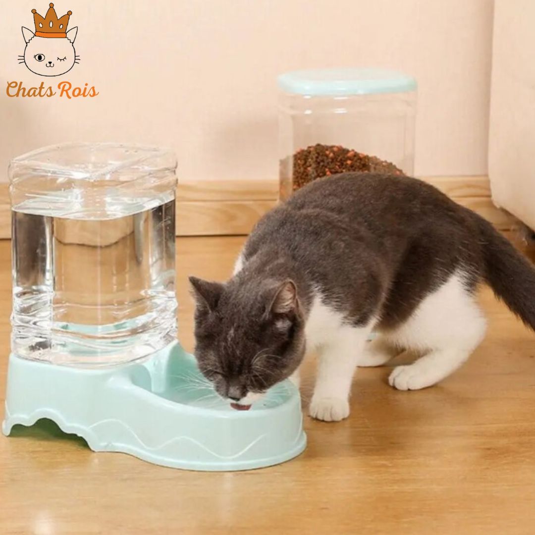 Distributeur-de-croquettes-pour-chat-automatique-abreuvoir-bleu