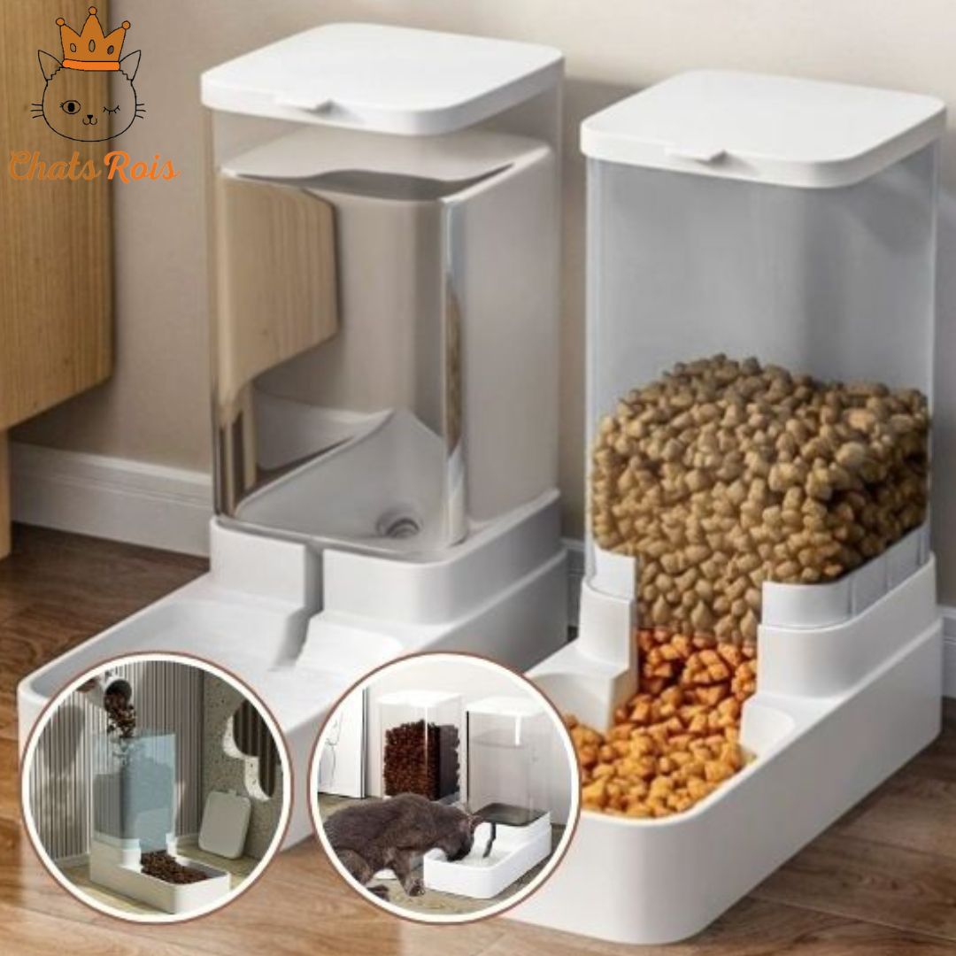 Distributeur-de croquettes-pour-chat- investissement