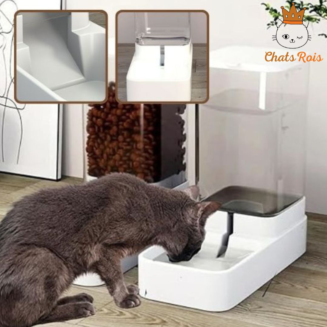 Distributeur-de croquettes-pour chat-Et-abreuvoir-alimentation-optimisée
