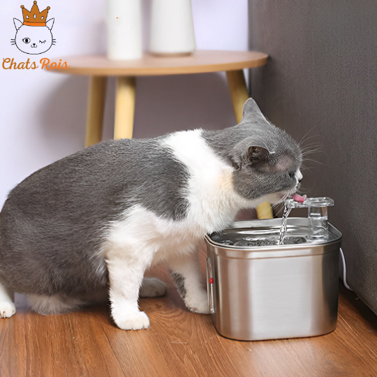 Fontaine-a-eau-chat-Silencieuse-avec-capteur-hydratation-optimale