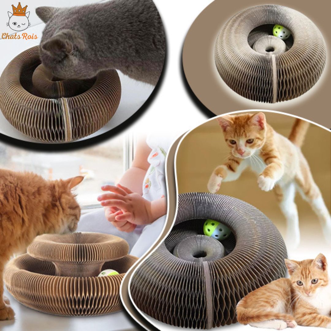 Griffoir-chat-accordéon-protection-des-meubles