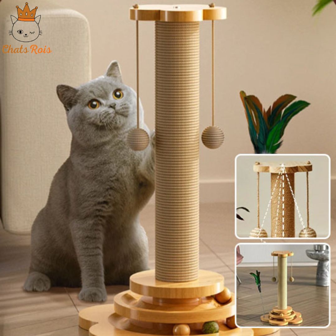 Griffoir-chat-petit-arbre-divertissement-felin-complet