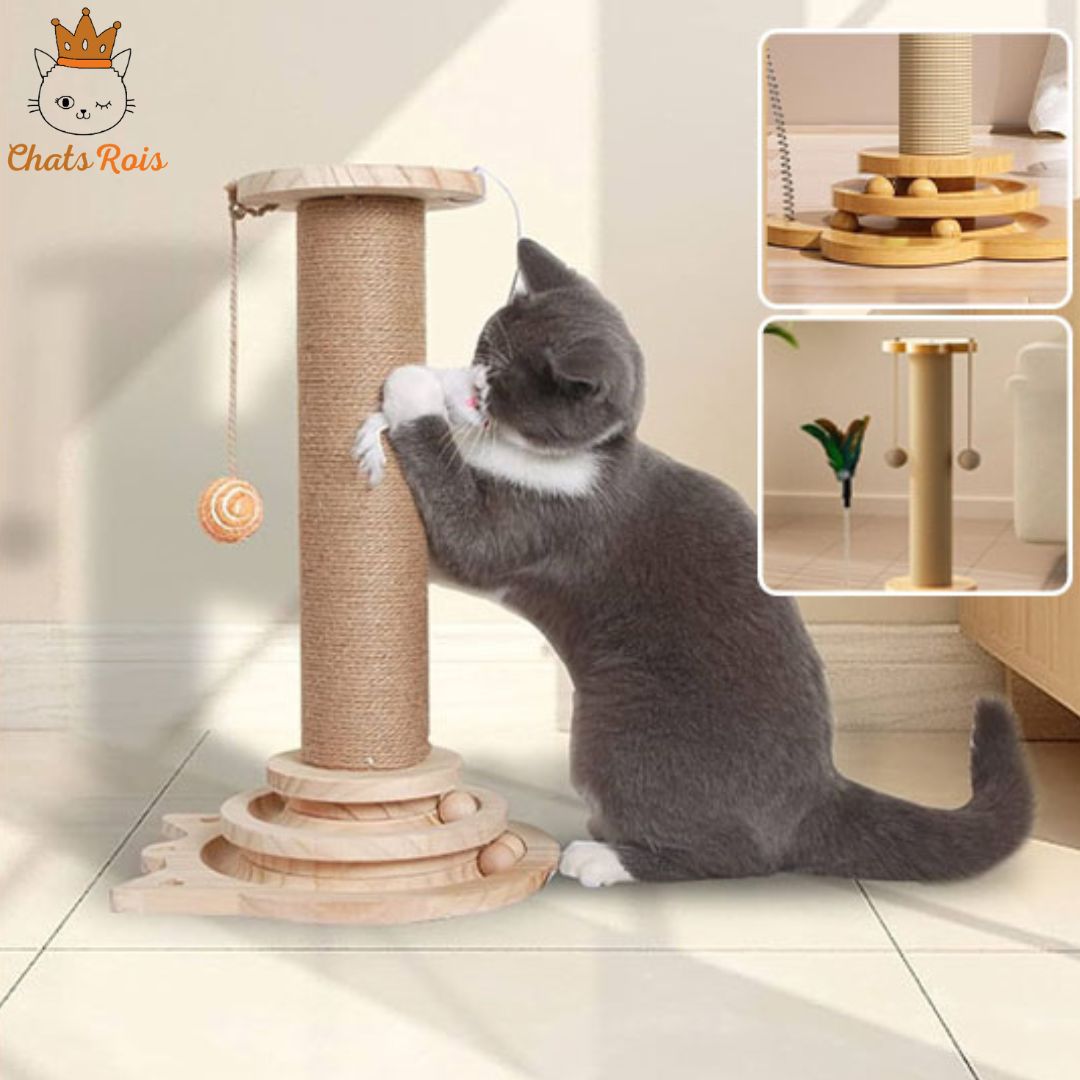 Griffoir-chat-petit-arbre-proteger-vos-meubles