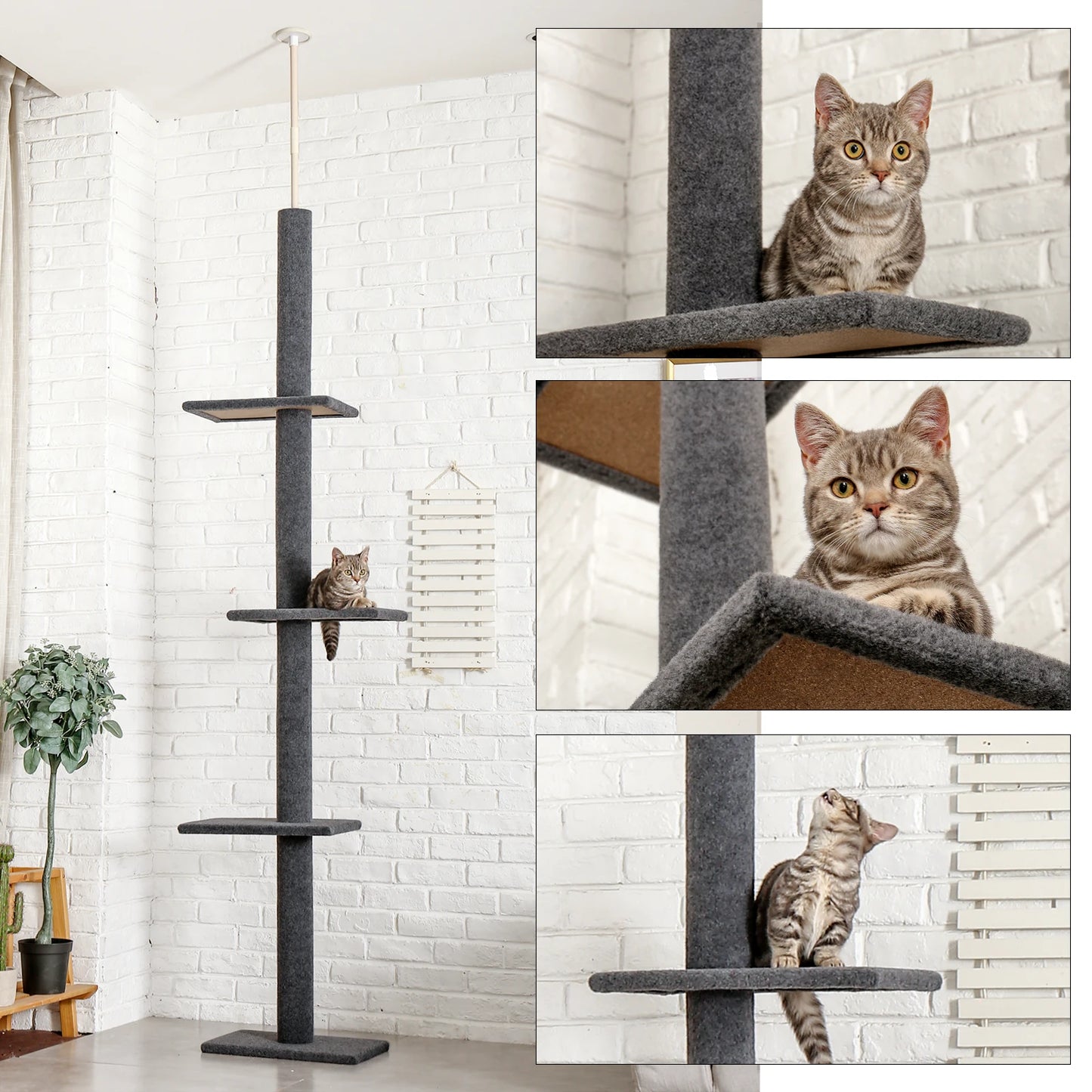Arbre à chat - Réglable
