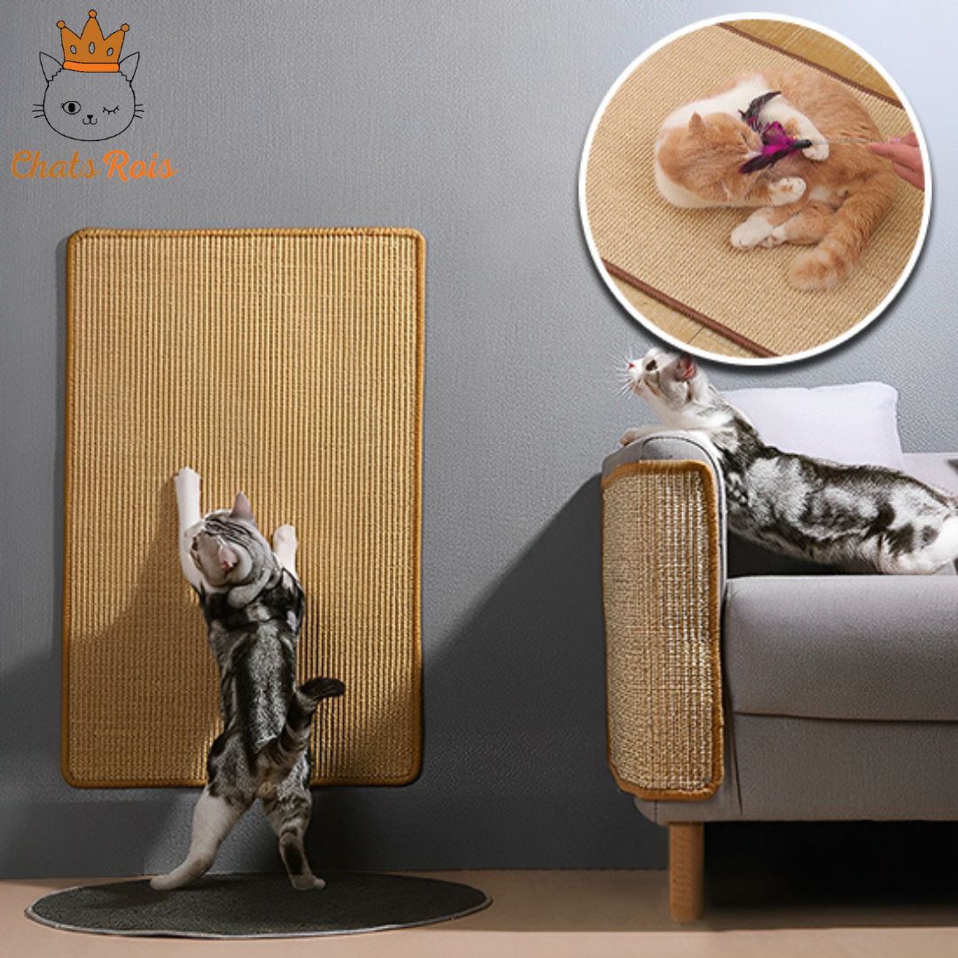 griffoir-chat-tapis-proteger-vos-meubles