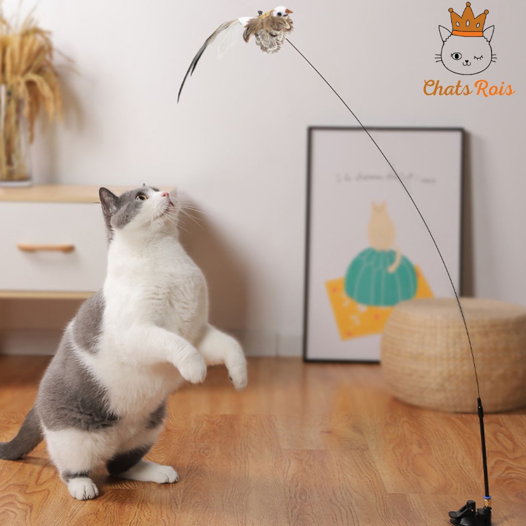 jeux-pour-chat-baguette-oiseau-amusante