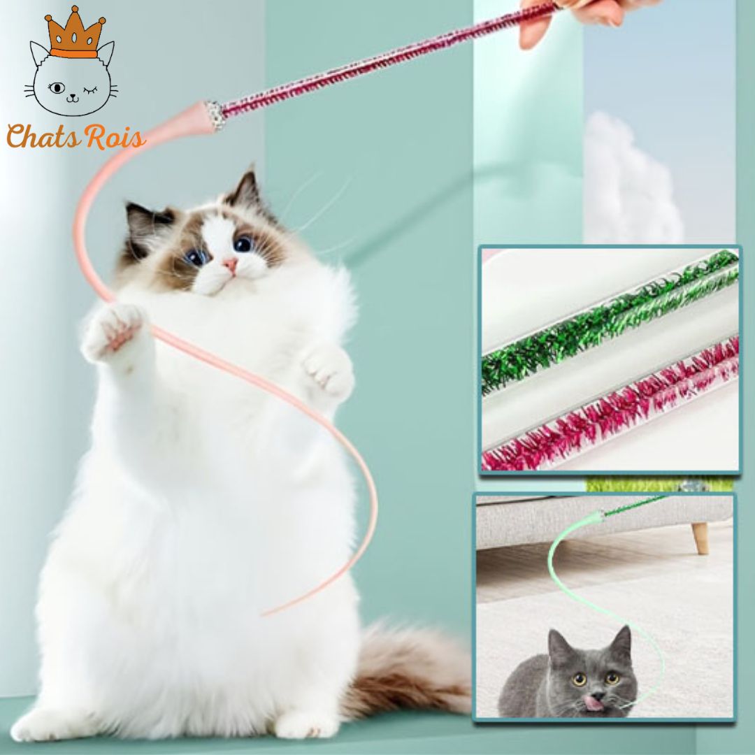 jeux-pour-chat-baguette-réduisez-anxiété