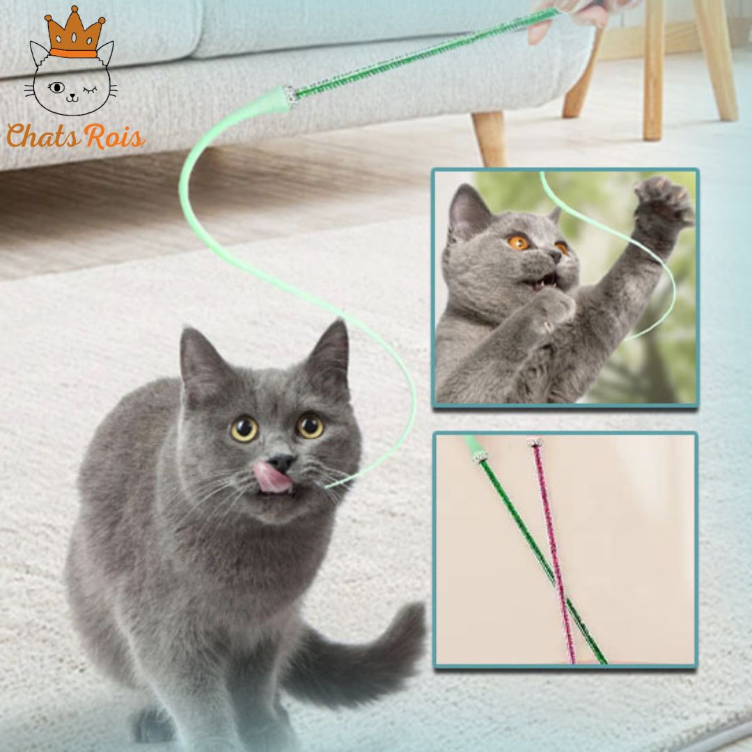 jeux-pour-chat-baguette-réveille-instinct-de-chasse
