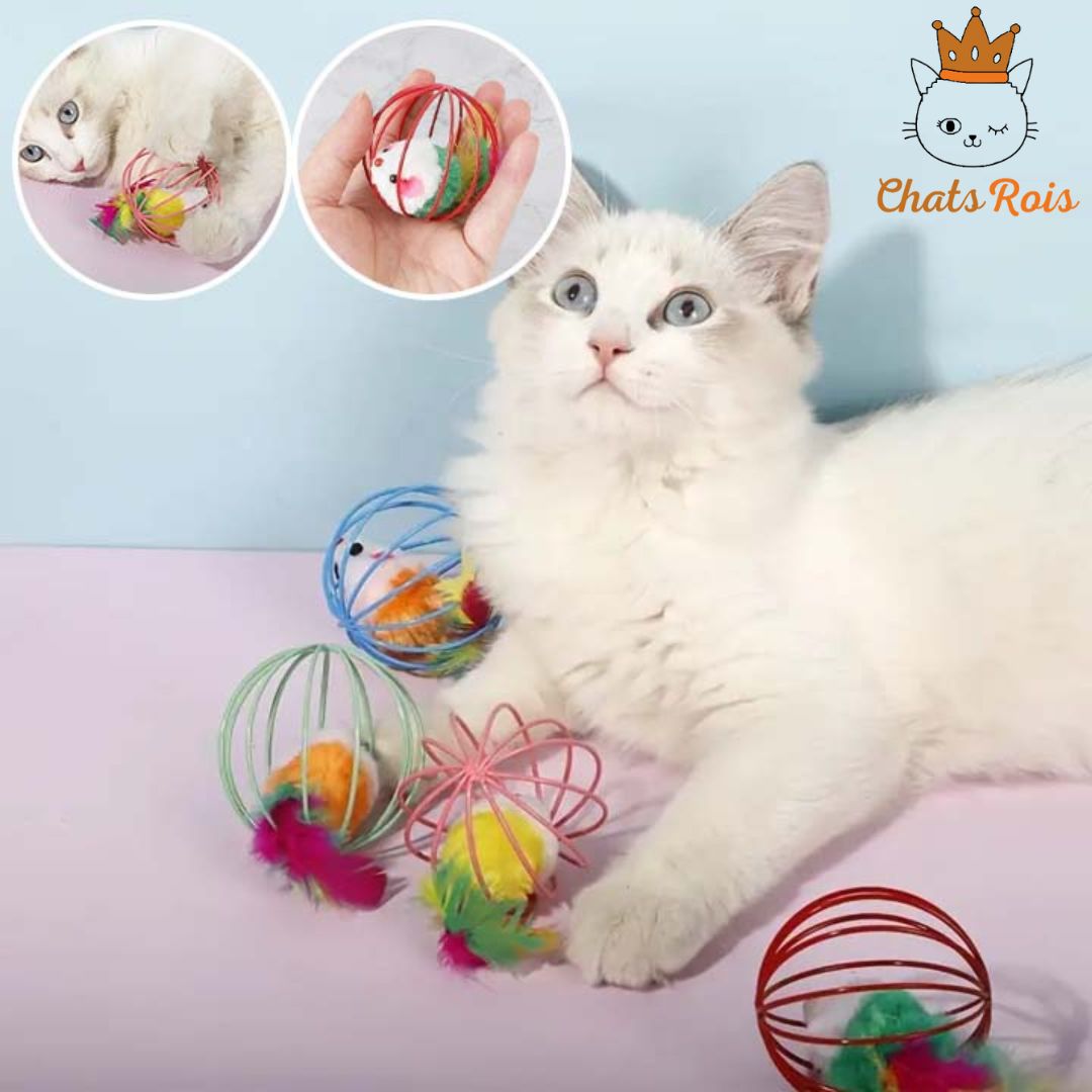 jeux-pour-chat-balle-avec-souris-et-clochette-renforce-lien