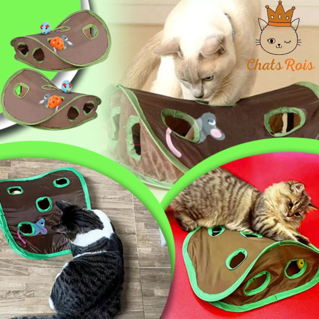 jeux-pour-chat-chasser