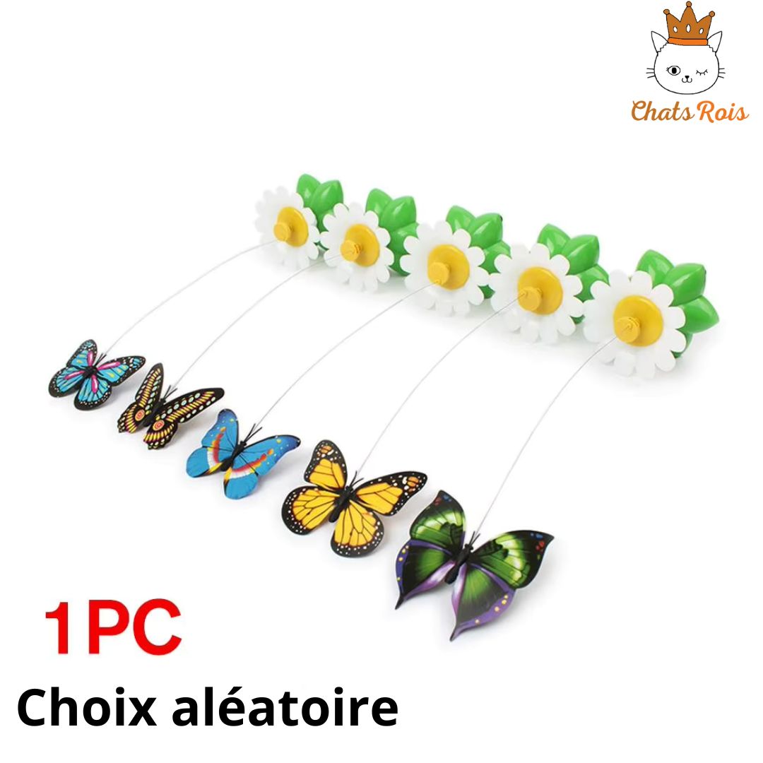 jeux-pour-chat-papillon-rotatif-choix-aléatoire