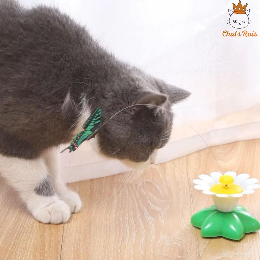 jeux-pour-chat-papillon-rotatif-réduit-le-stress