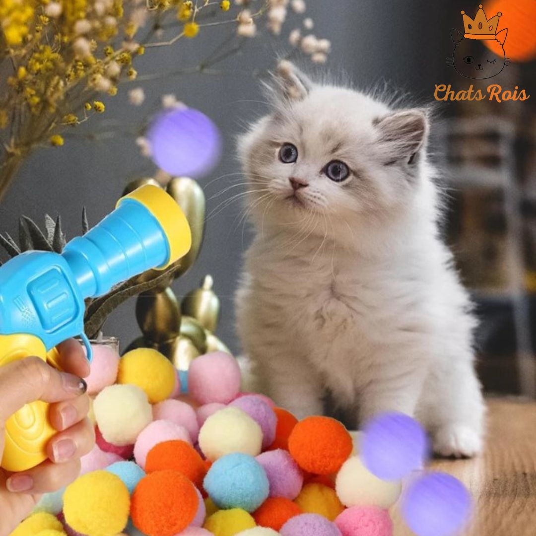 jeux-pour-chat-pistolet-tir-a-balles-50-balles