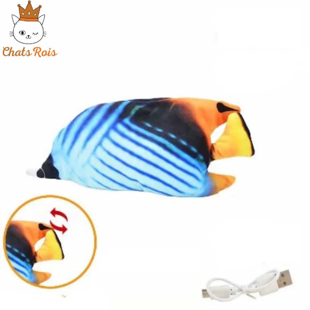 jeux-pour-chat-poisson-electrique-experience-immersive