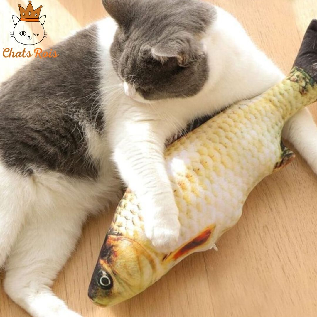 jeux-pour-chat-poisson-electrique-interactif