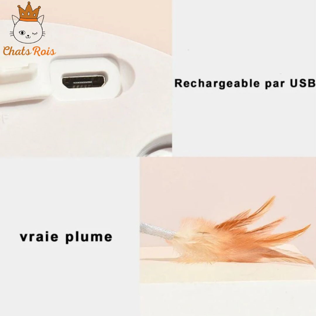 jeux-pour-chat-souris-électrique-rechargeable