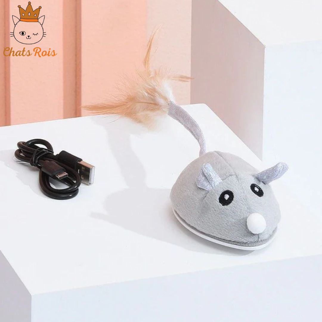 jeux-pour-chat-souris-electrique-stimulation-physique