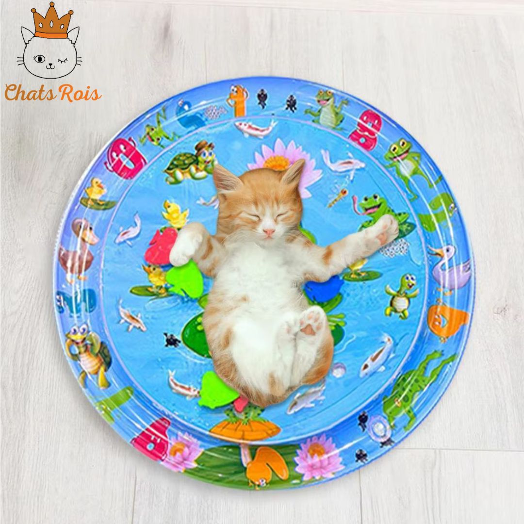 jeux-pour-chat-tapis-apporte-fraicheur