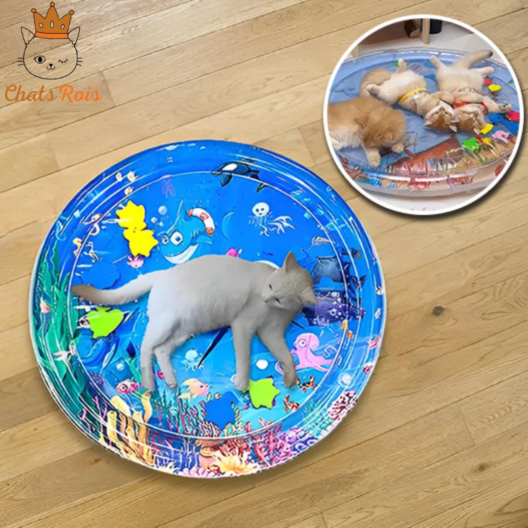 Tapis D'eau Lumineux Pour Chat, Tapis De Jeu épais Anti-rayures, Anti