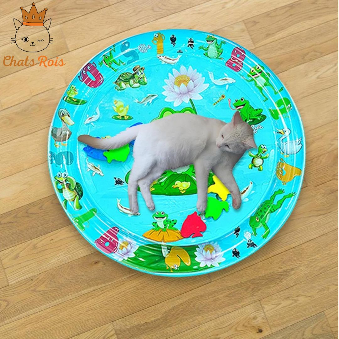 jeux-pour-chat-tapis-de-jeu-aquatique-stimule-mentalement