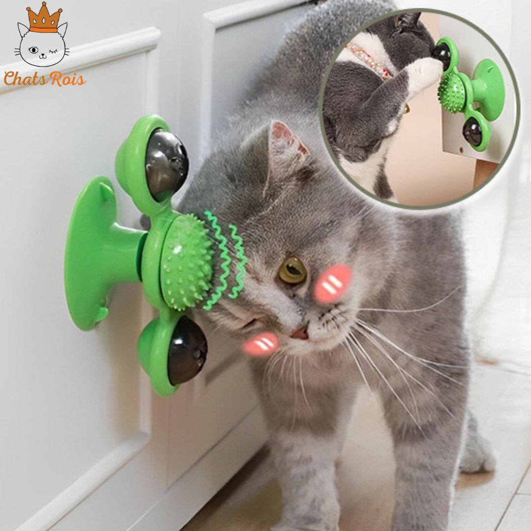 jeux-pour-chat-tourbillon-attractif
