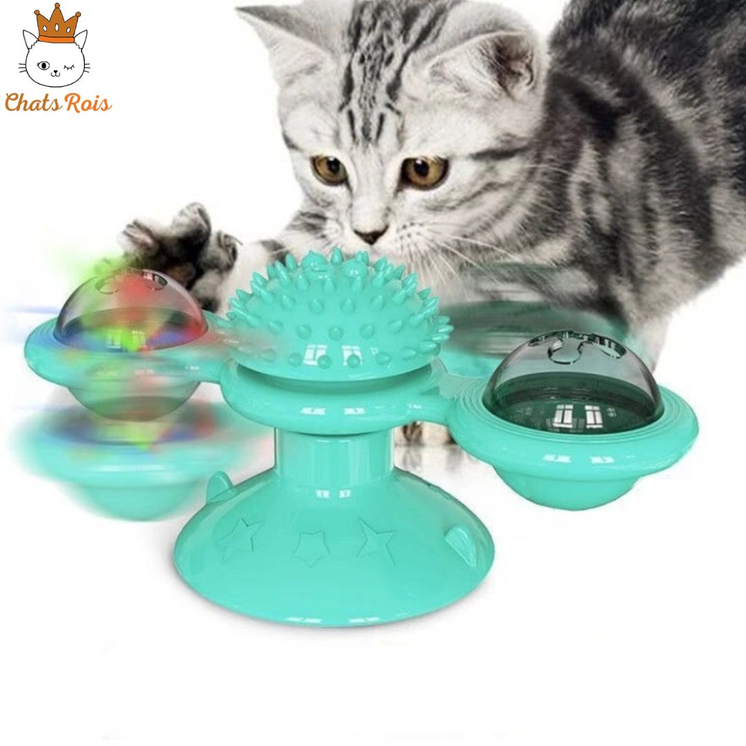 jeux-pour-chat-tourbillon-bleu-interactif