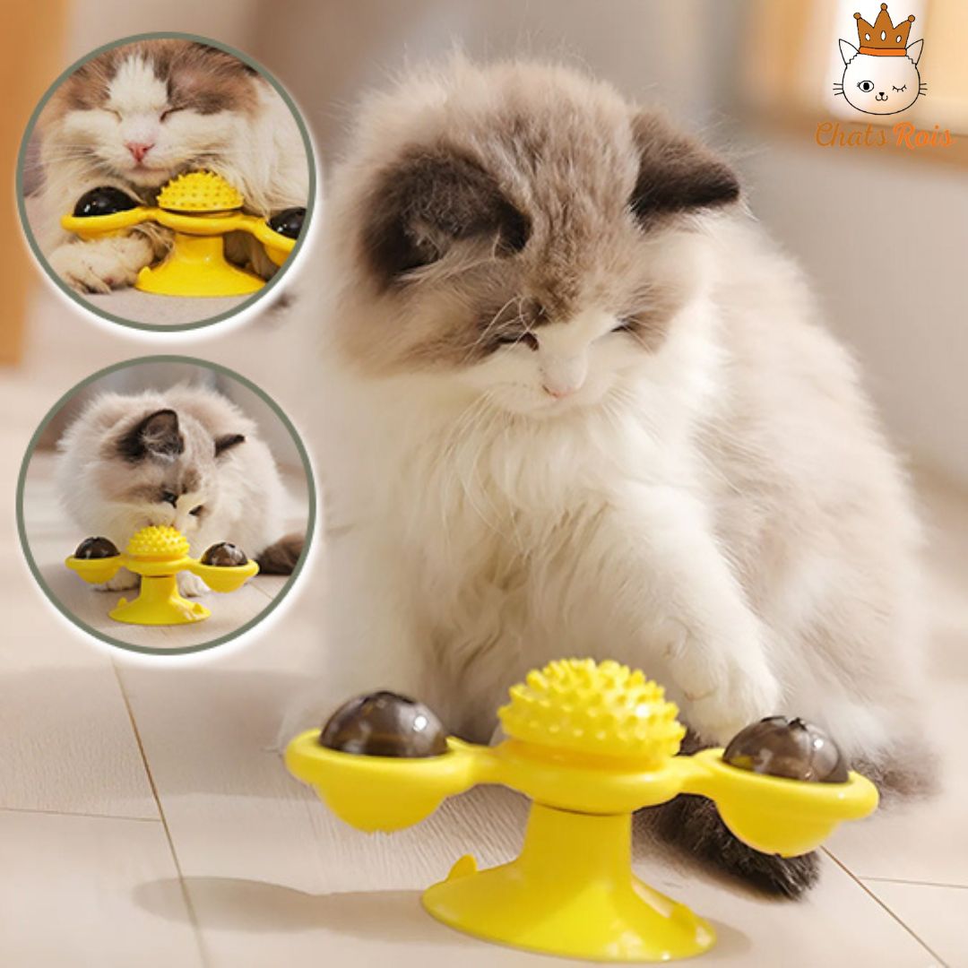 jeux-pour-chat-tourbillon-stimule-et-divertie