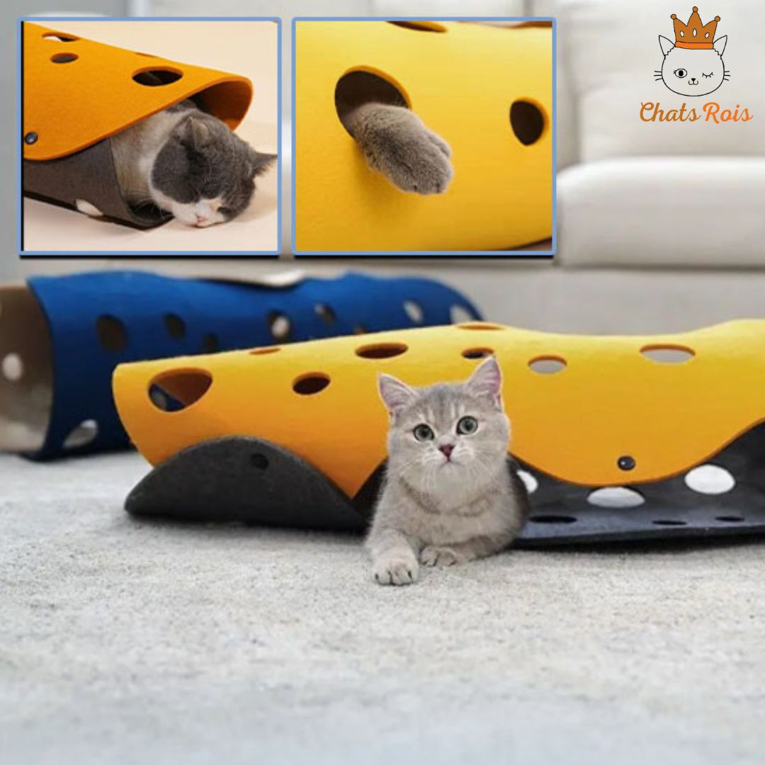 jeux-pour-chat-tunnel-stimule-l_instinct