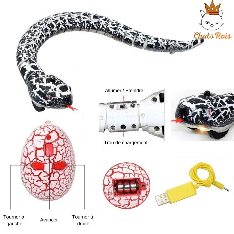 jeux-pour-chat-serpent-telecommande-interactif-stimulant-noir