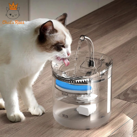 Fontaine à eau pour chat| Chat 
