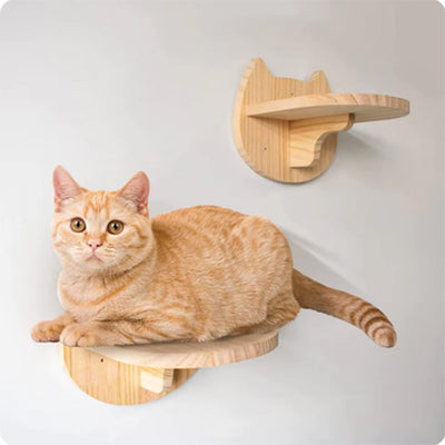 Arbre-a-chat-etagere-murale-bois-qualite-et-praticite-reunies-etageres