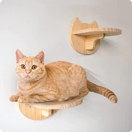 Arbre-a-chat-etagere-murale-bois-qualite-et-praticite-reunies-etageres
