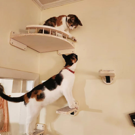 Arbre-a-chat-etagere-murale-bois-qualite-et-praticite-reunies-etageress