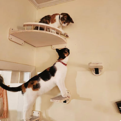 Arbre-a-chat-etagere-murale-bois-qualite-et-praticite-reunies-etageress