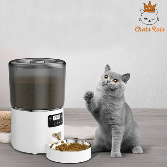 Distributeur-de-croquettes-pour-chat-Automatique-simplification-du-quotidien