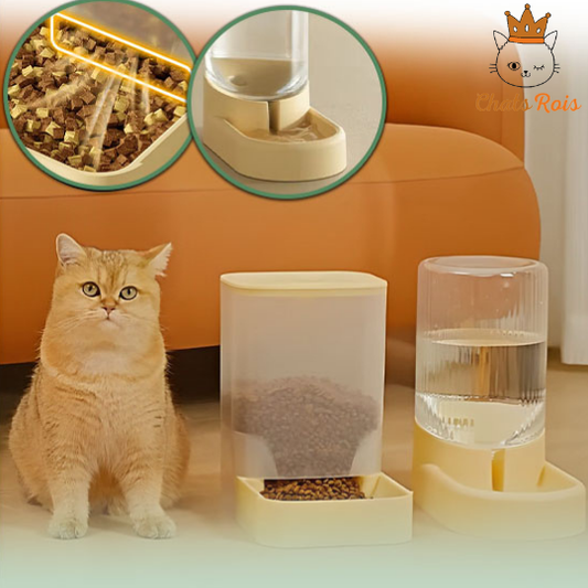 Distributeur de croquettes pour chat - Et abreuvoir