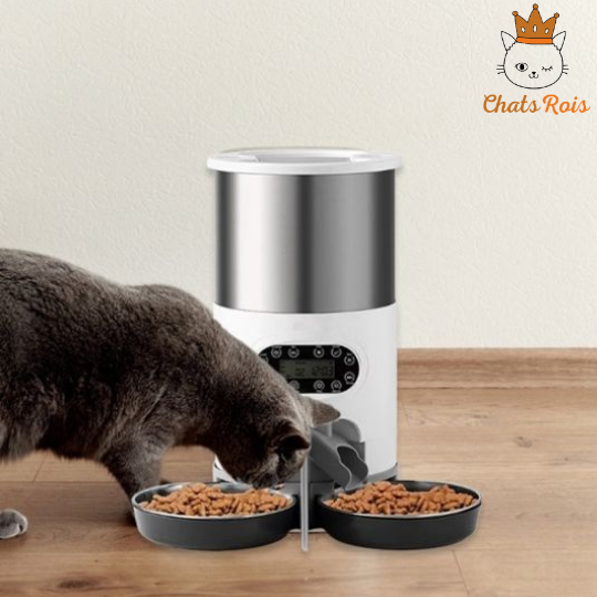 Distributeur-de-croquettes-pour-chat-application-integree