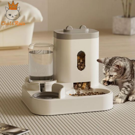Distributeur-de-croquettes-pour-chat