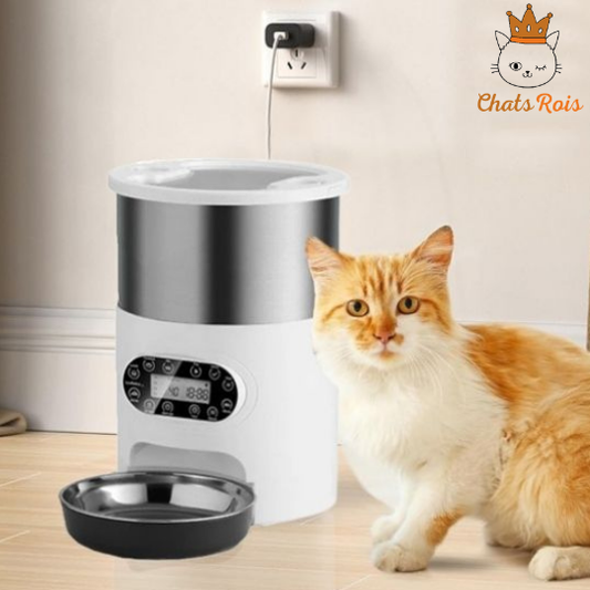 Distributeur-de-croquettes-pour-chat-nourriture-programmee