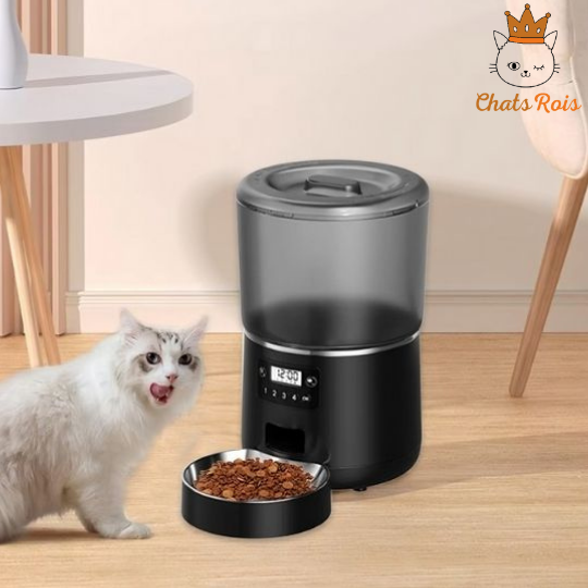 Distributeur-de-croquettes-pour-chat-tranquilite-pour-vous