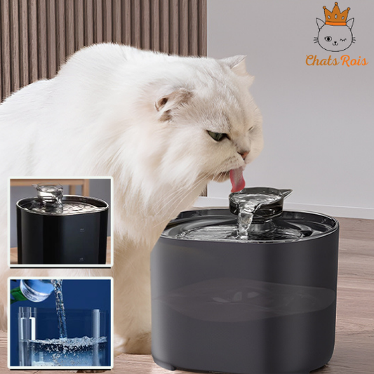 Fontaine-a-eau-chat-Capteur-de-mouvement-intégré-hydratation-intelligente