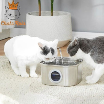 Fontaine-a-eau-chat-Lumiere-LED-integree-hydratation-optimale-automatique