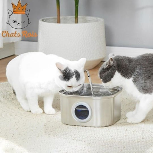 Fontaine-a-eau-chat-Lumiere-LED-integree-hydratation-optimale-automatique