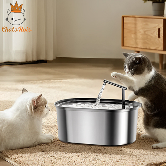 Fontaine-a-eau-chat-abreuvoir-automatique-hydratation-parfaite