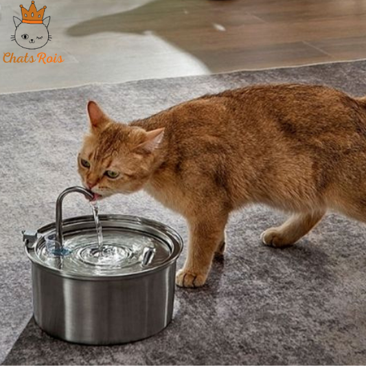 Fontaine-a-eau-chat-silencieuse-hydratation-optimale