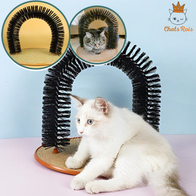Griffoir-chat-arche-auto-toiletteur-finis-les-poils-dans-votre-maison