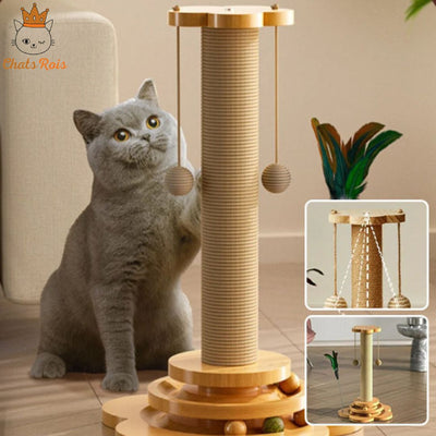 Griffoir-chat-petit-arbre-divertissement-felin-complet