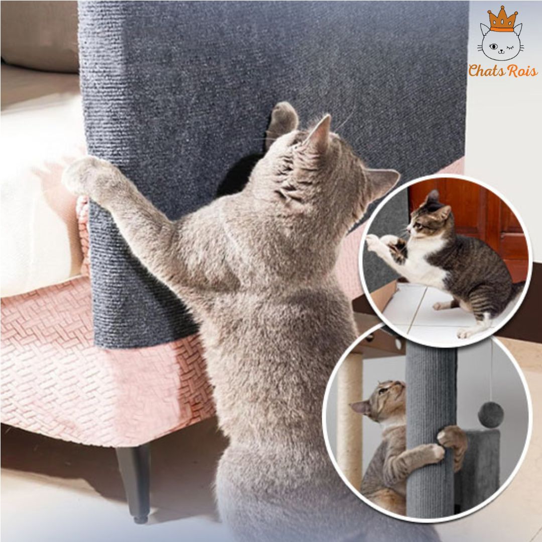 Griffoir-chat-tapis-autocollant-protegerer-vos-meubles