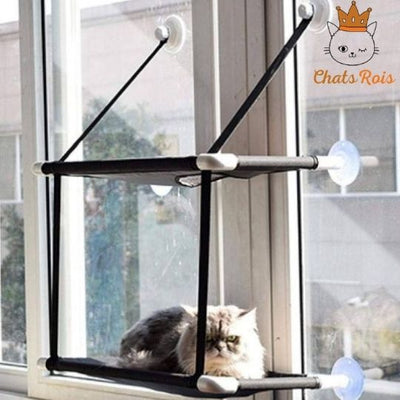 Hamac-pour-chat-Cadre-metallique-s-accroche-fenetre-confort-garanti