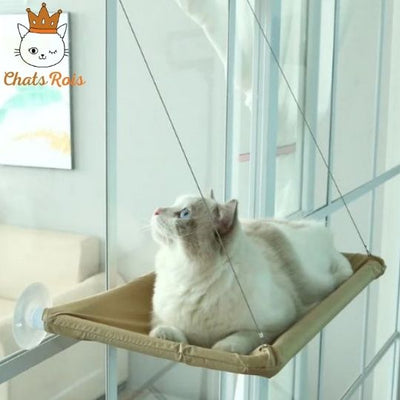Hamac-pour-chat-Suspendu-observatoire-felin-et-gain-de-place-beige